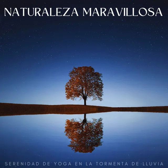 Naturaleza Maravillosa: Serenidad De Yoga En La Tormenta De Lluvia