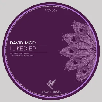 I Liked EP by David Mod