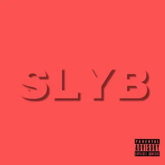 Slyb by Curtis Roach