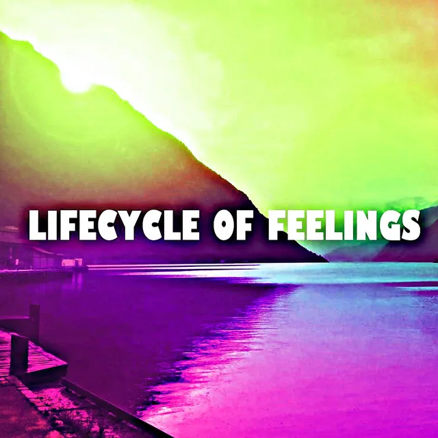 Lifecycle Of Feelings