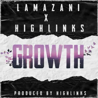 Growth by HighLinks