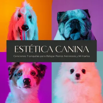 Estética Canina: Canciones Tranquilas para Relajar Perros Nerviosos y Mimarlos by Francisco Canino