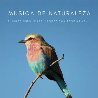 Música De Naturaleza: El Dulce Ruido De Los Insectos Para Estudiar Vol. 1 by Estudiando Música