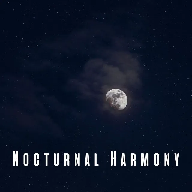 Nocturnal Harmony: Meditative Piano for Sleep