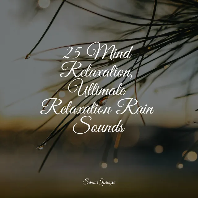 25 Mind Relaxation, Ultimate Relaxation Rain Sounds