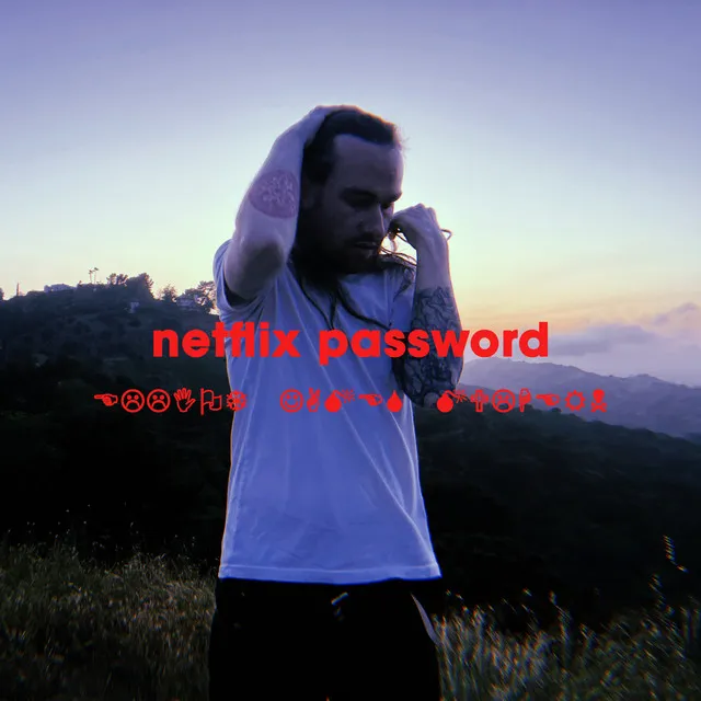 netflix password