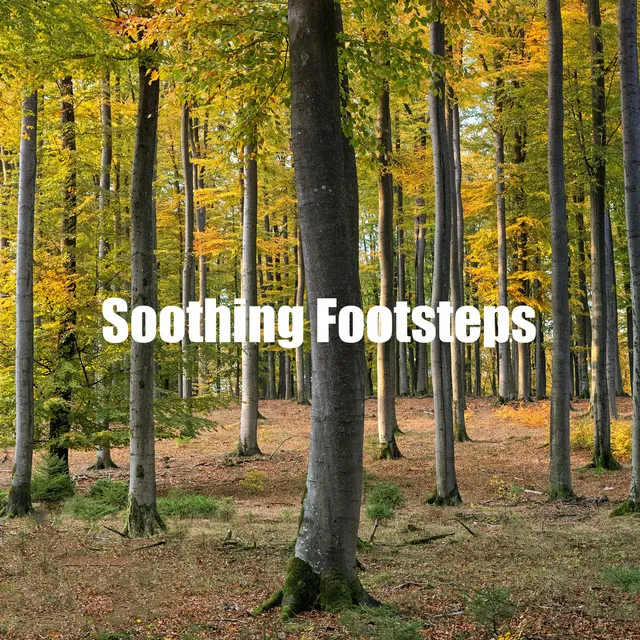 Soothing Footsteps