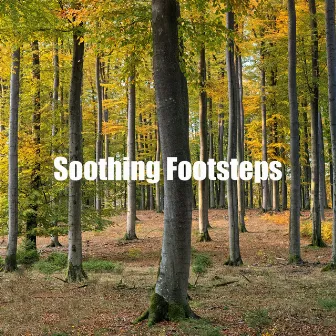 Soothing Footsteps by Foresty Ambient Noises