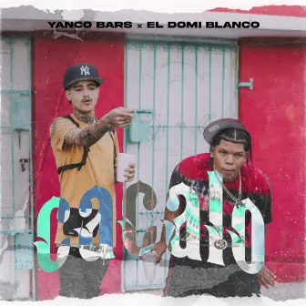 Cacalo by Yanco Bars