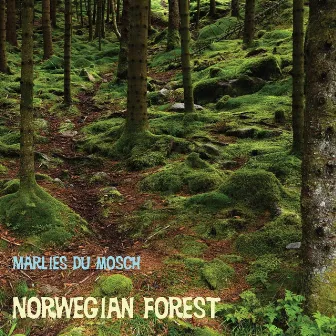 Norwegian Forest by Marlies du Mosch