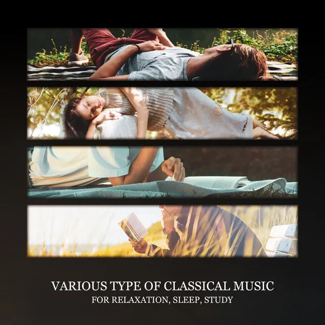 Various Type of Classical Music for Relaxation, Sleep, Study