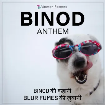 Binod Anthem by Addy 323