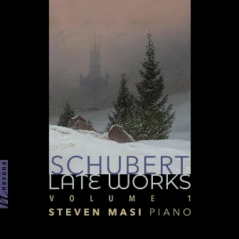 Schubert Late Works Vol. 1 by Steven Masi