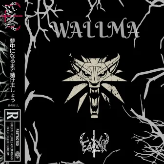 Wallma by EXXXO