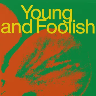 Young And Foolish by Charlotte Illinger