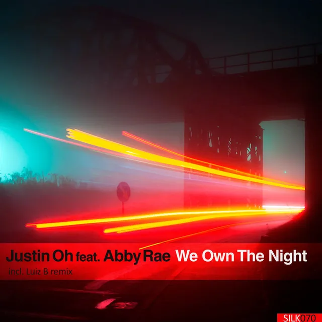 We Own The Night - Luiz B Remix