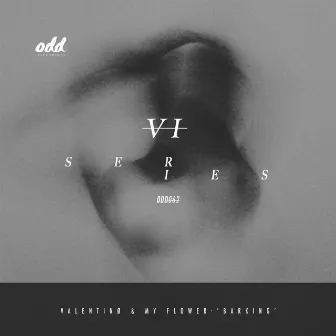 Series VI by Valentinø