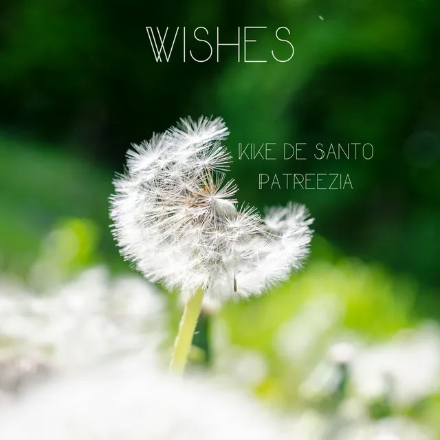 Wishes