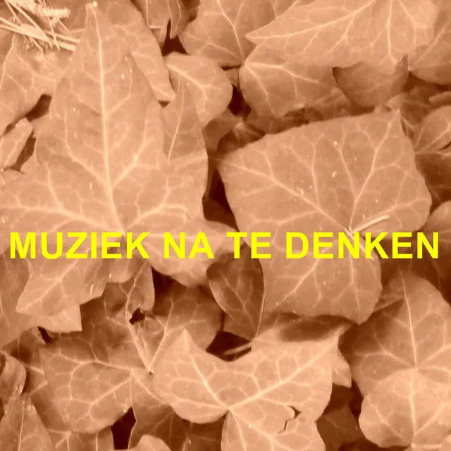 Muziek Na Te Denken