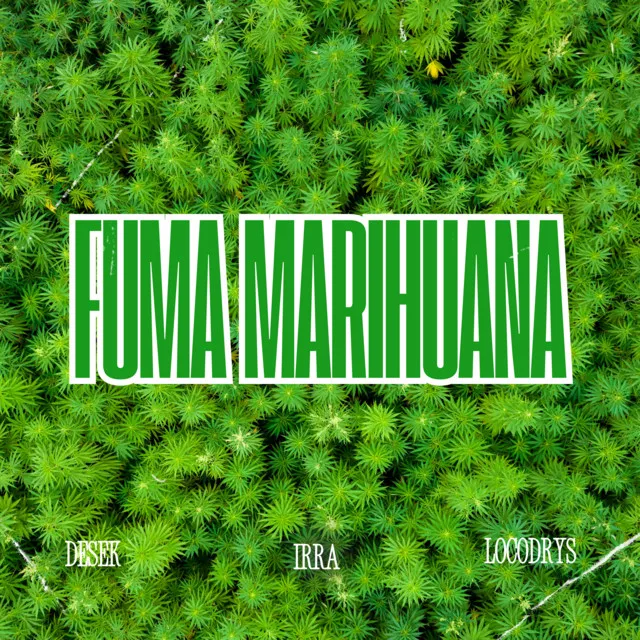 Fuma marihuana