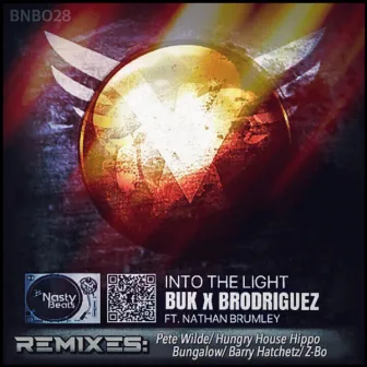 Into the light (Remixes) by Brodriguez