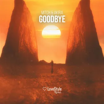 Goodbye by Akira Br