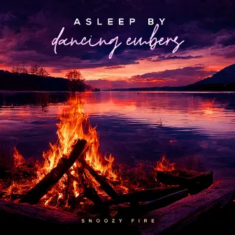 Asleep by Dancing Embers by Snoozy Fire