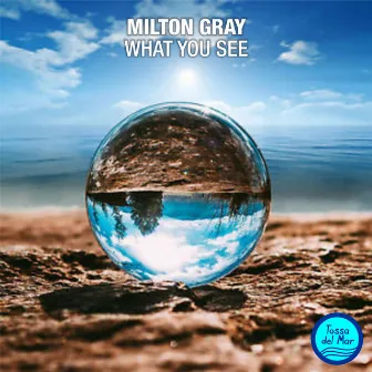 What You See by Milton Gray