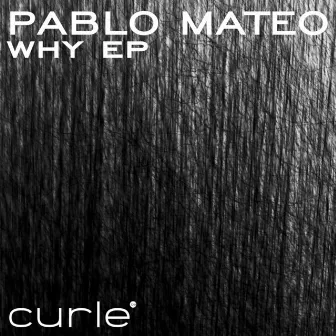 Why EP by pablo mateo