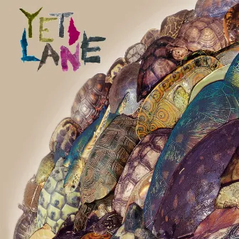 Lonesome George by Yeti Lane