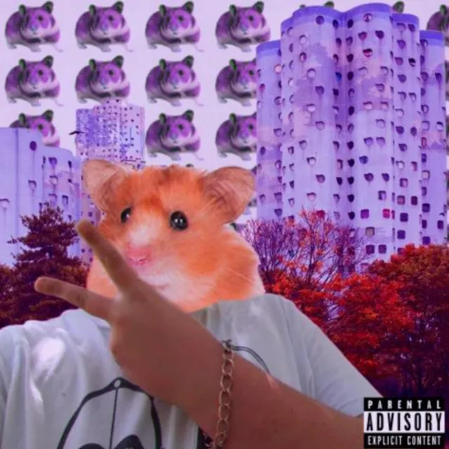 Hamster