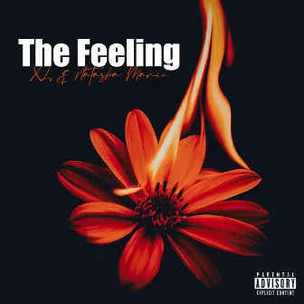 The Feeling by X.L.