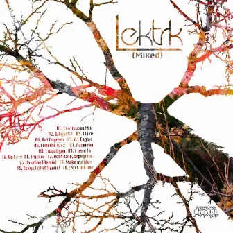 LEKTRK (Continuous Mix) by Rebecca Janz