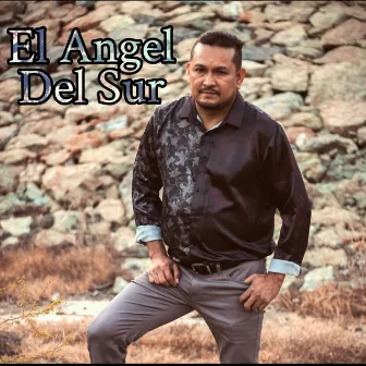 CORRIDOS SOLICITADOS, Vol. 2 by EL ANGEL DEL SUR