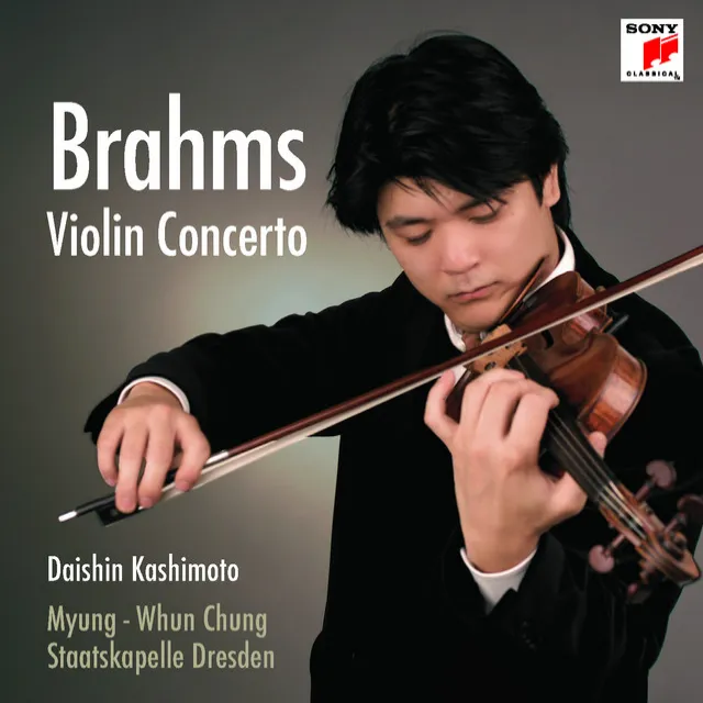 Violin Concerto in D Major, Op. 77: I. Allegro non troppo