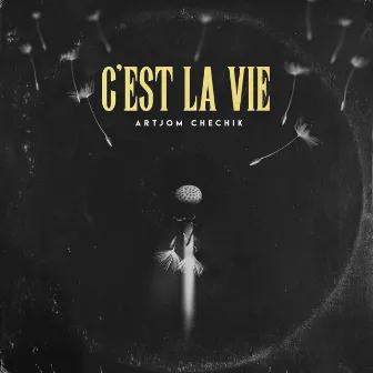 C'est la vie by Artjom Chechik