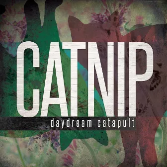 Catnip by Daydream Catapult