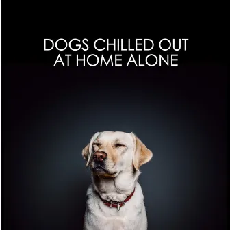 Dogs Chilled Out At Home Alone by Dog Chillout Zone