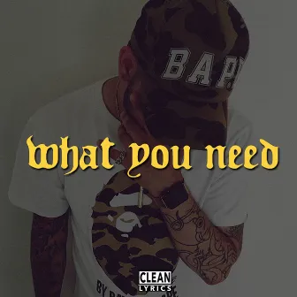 What You Need by Yung 187