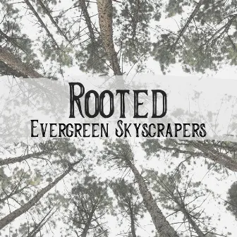 Evergreen Skyscrapers by Rooted