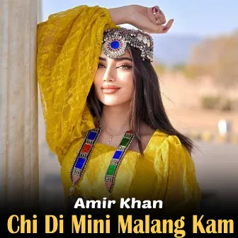 Chi Di Mini Malang Kam by Amir Khan