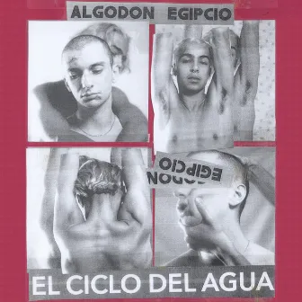 El Ciclo del Agua by Algodón Egipcio