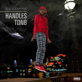 Sui Generis by Handles Tdnb