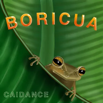 Boricua by Caidance