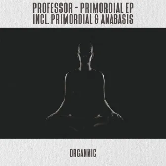 Primordial EP by Professor (RO)