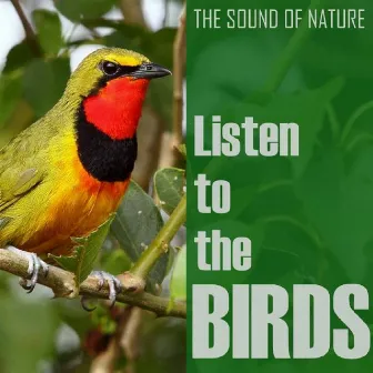 Listen to the Birds by The Birds