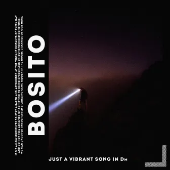 just a vibrant song in Dm by bosito