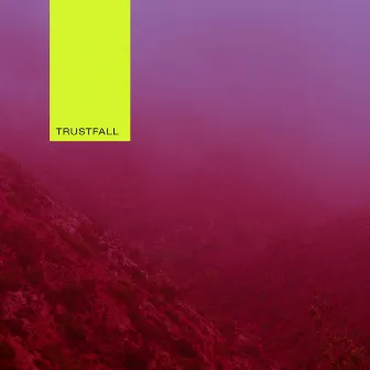 Trustfall by Repository