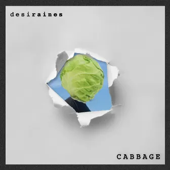 Cabbage by Desi Raines