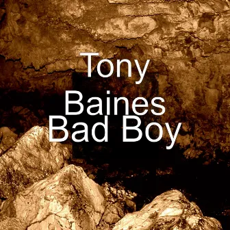 Bad Boy by Tony Baines